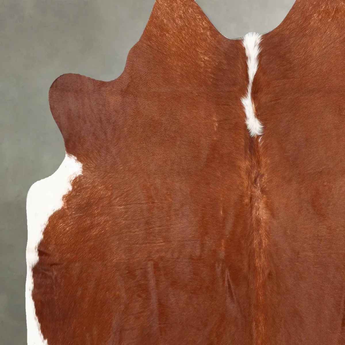 Brown and White Natural Cowhide Rug – Small to Extra Large
